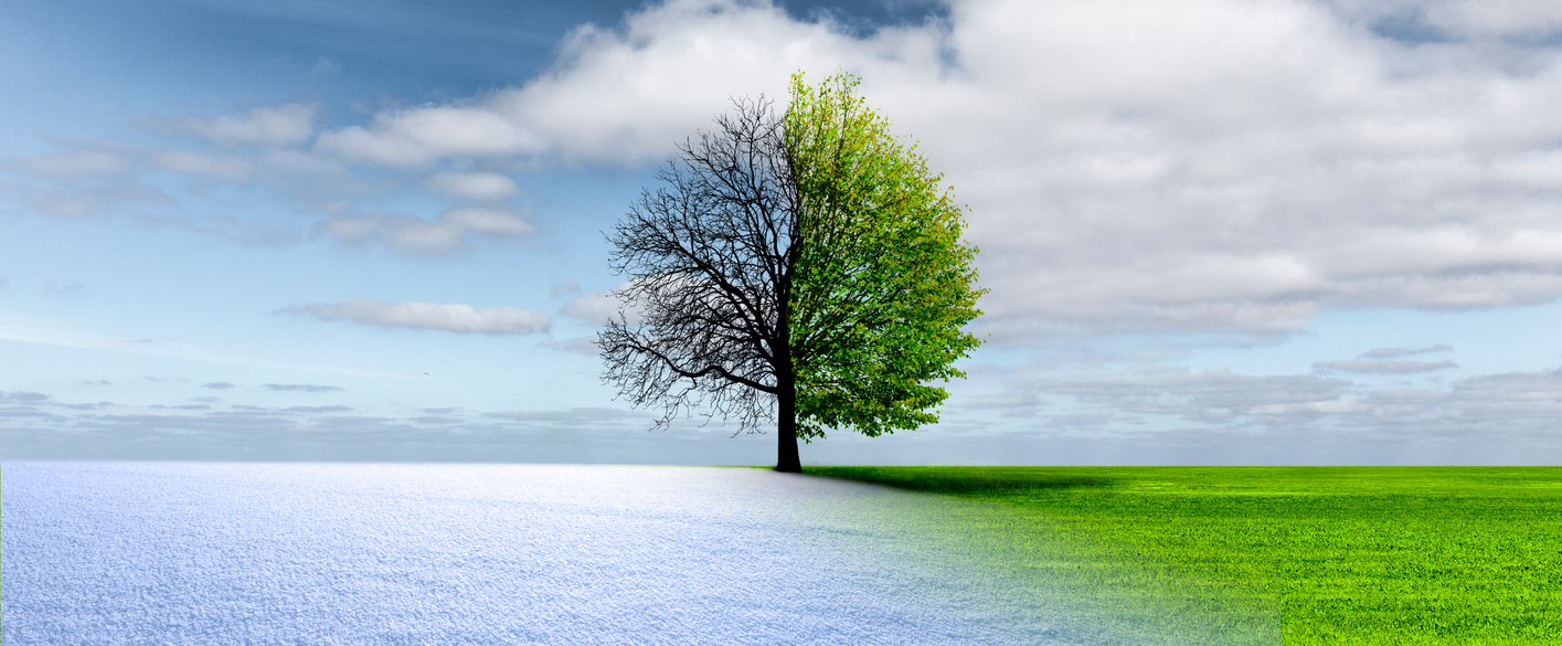 Spring winter change
